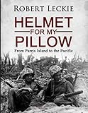 Helmet_for_my_pillow
